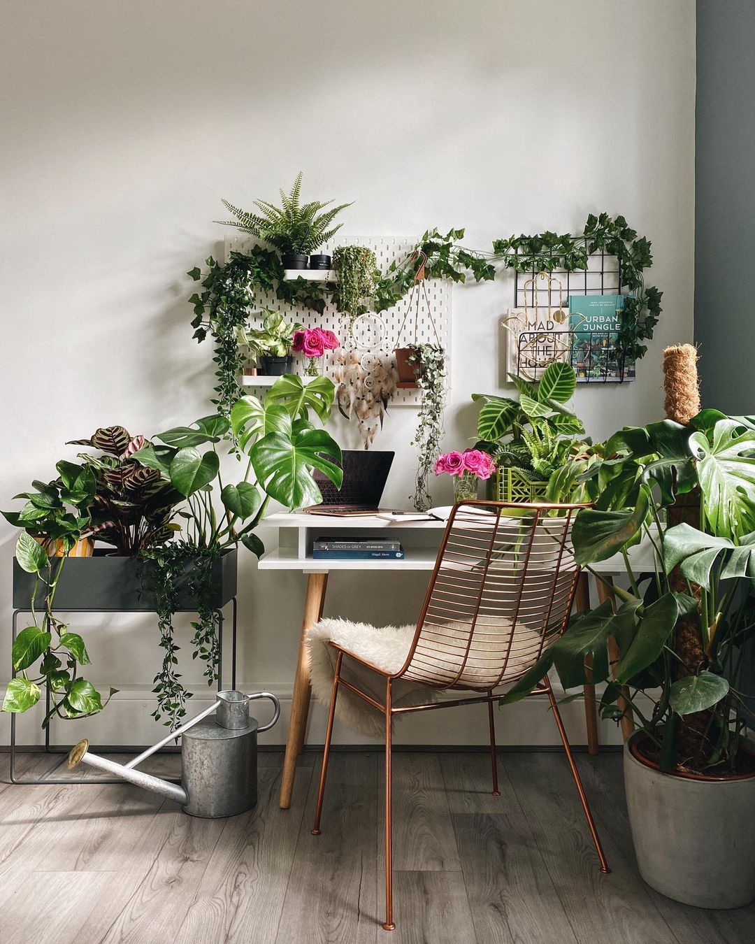 21 Fabulous House Plant Decor Ideas For Living Room Bedroom And 